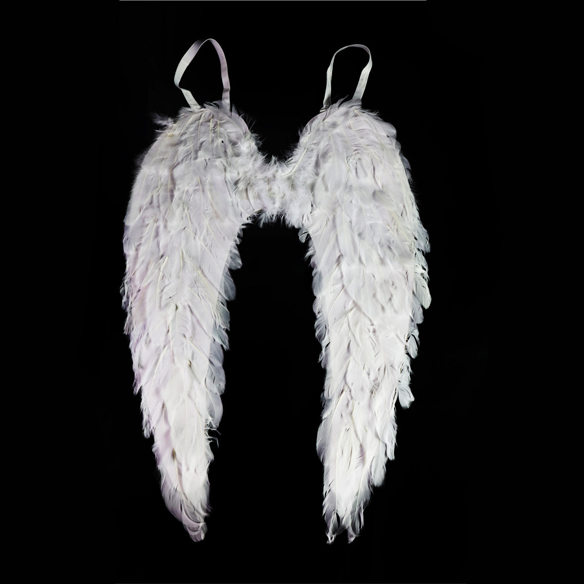 Angel wings with feathers 55 cm