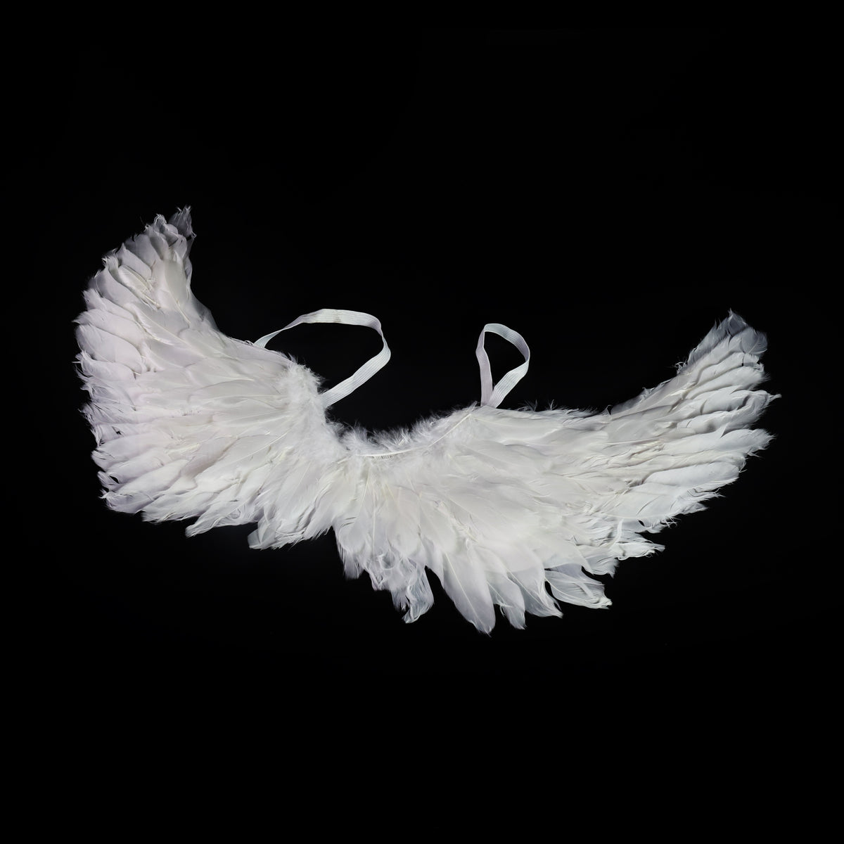 Angel wings with feathers 50 cm