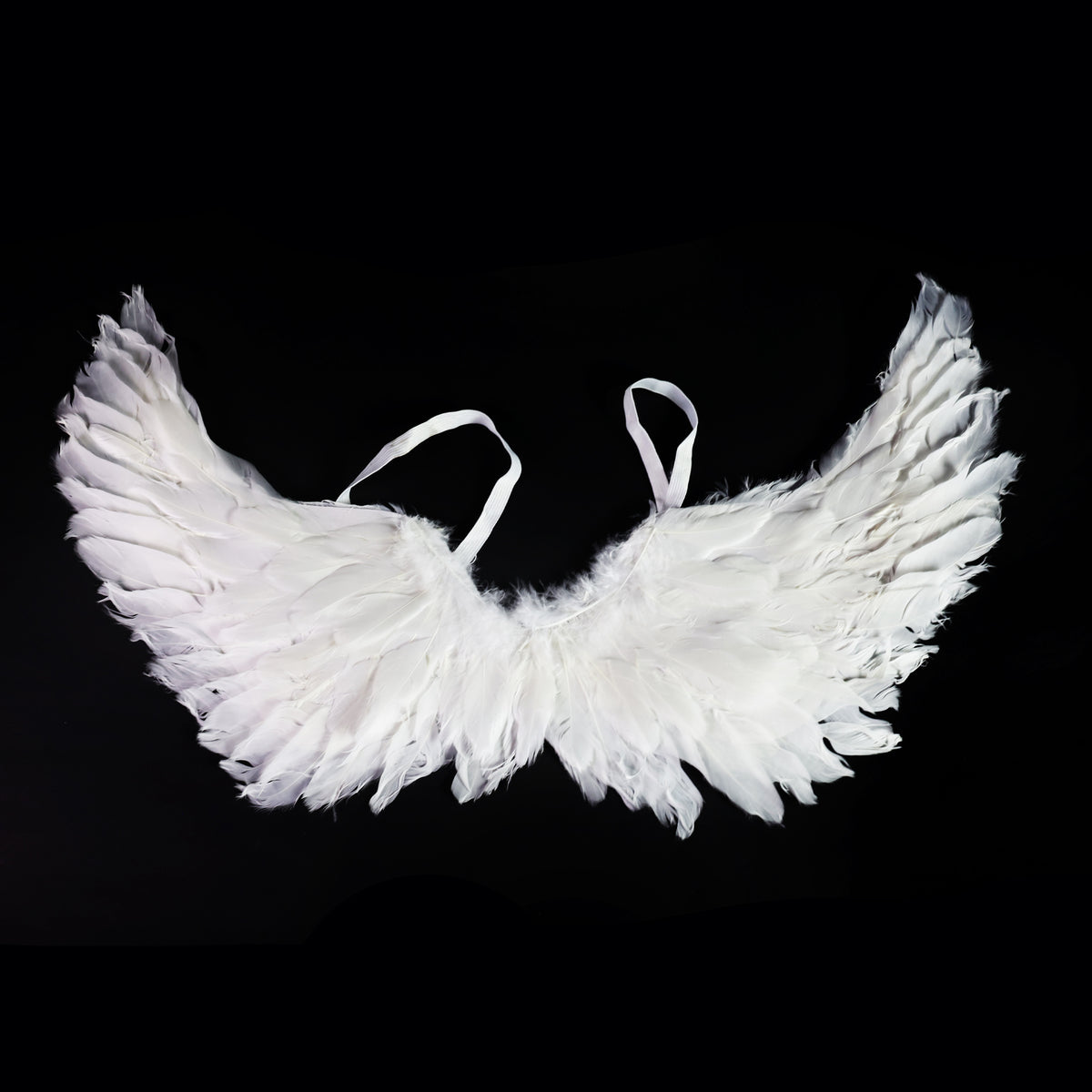 Angel wings with feathers 50 cm