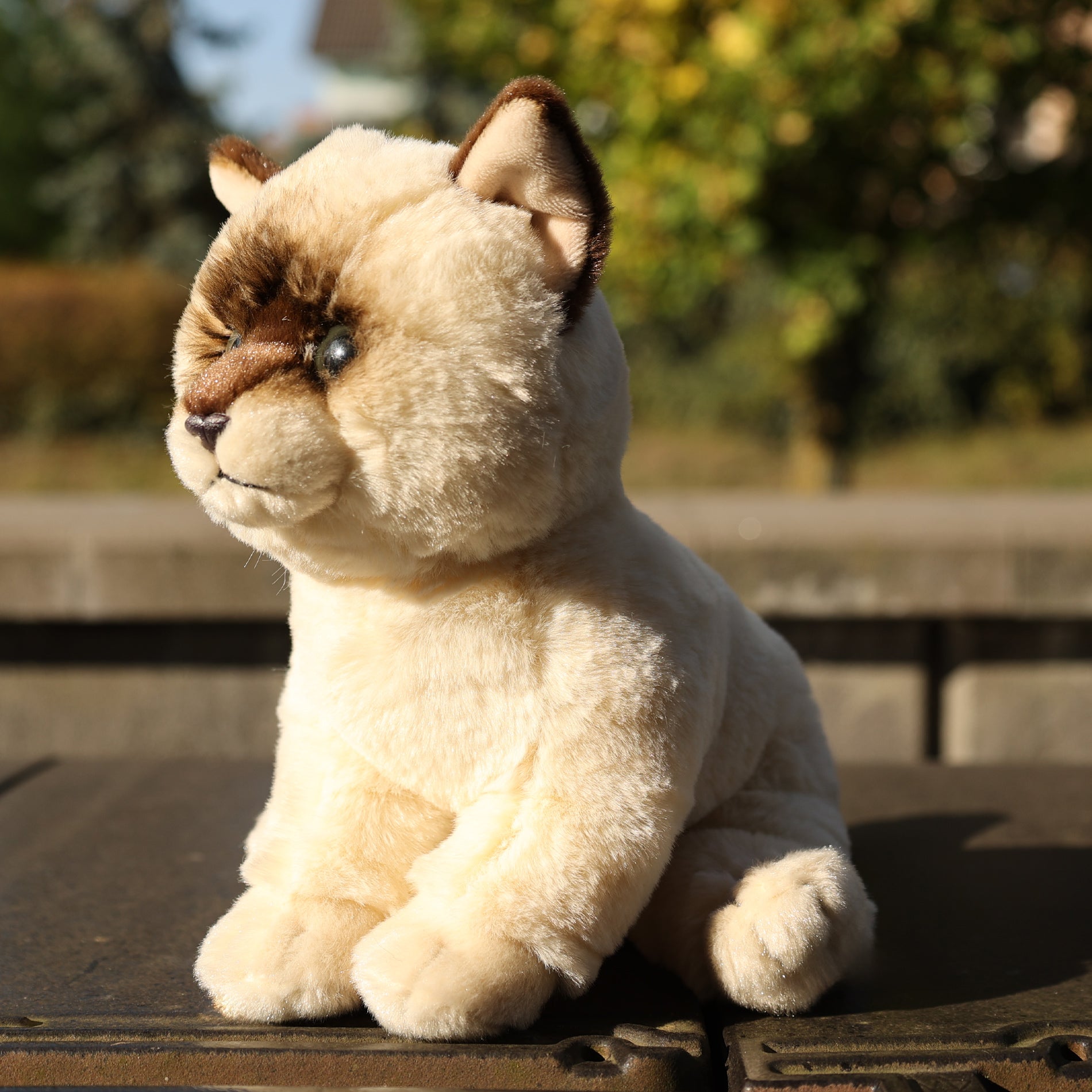 Plush ragdoll cat 23 cm