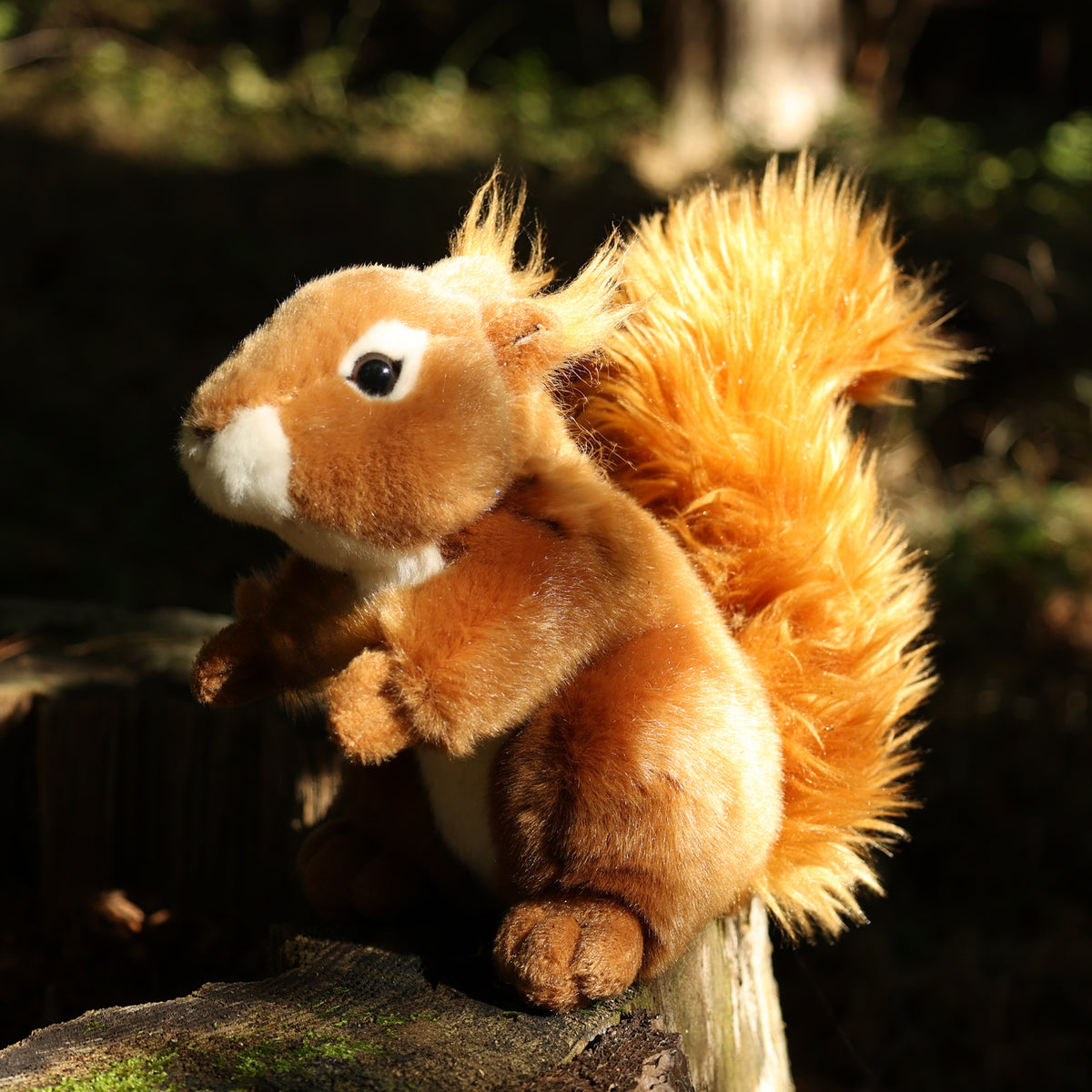 Plush squirrel 20 cm