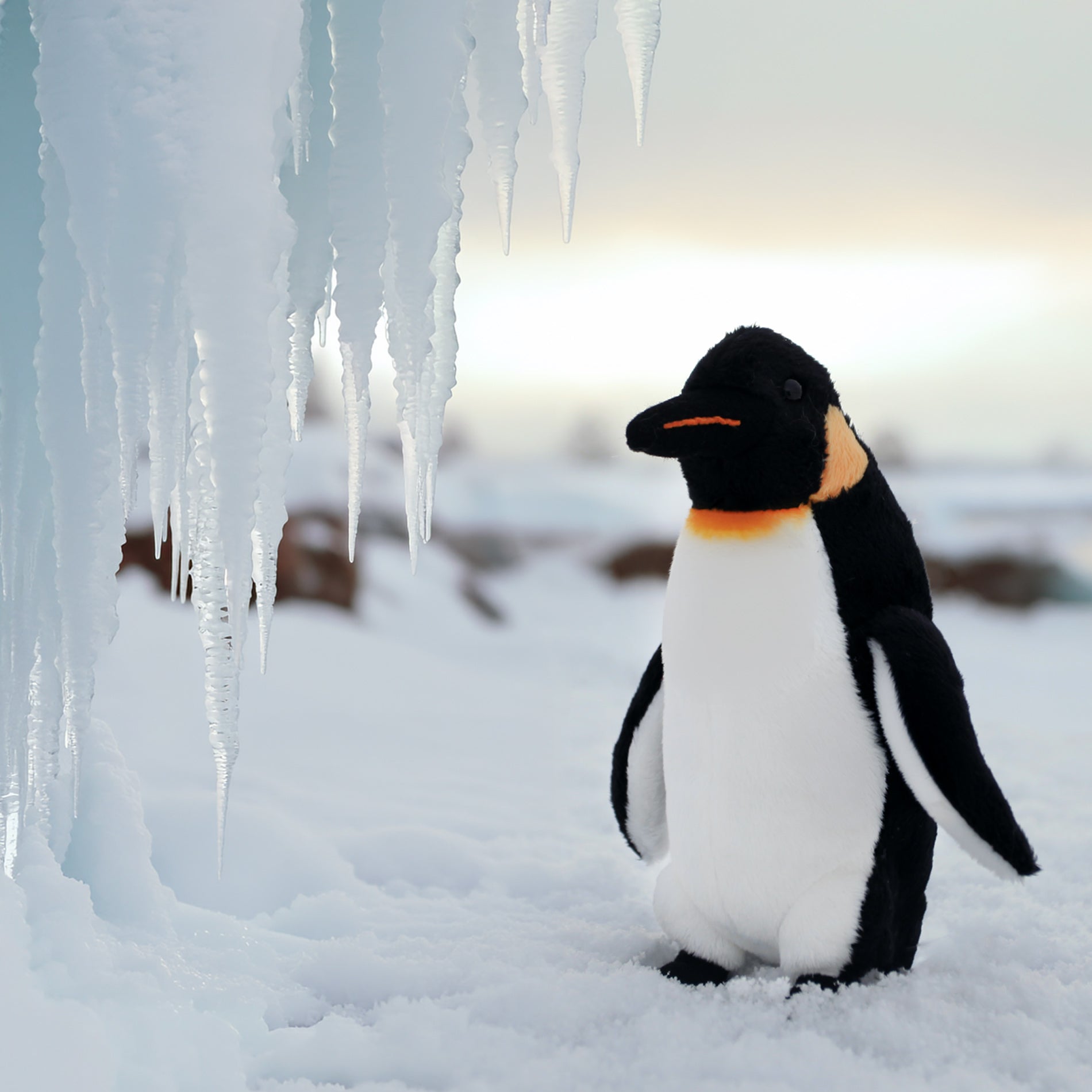 Plush penguin 18 cm