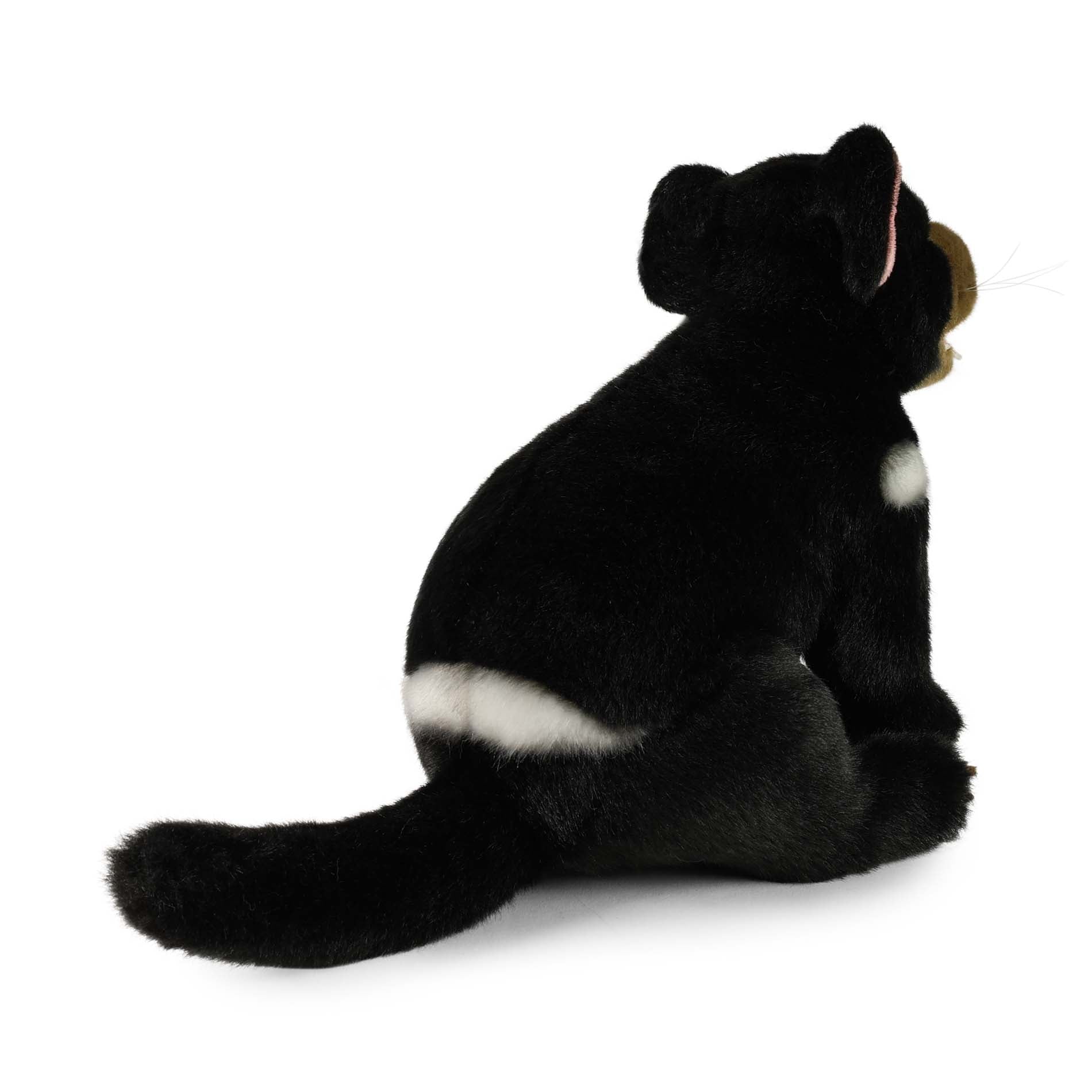 Tasmanian devil plush toy 25 cm