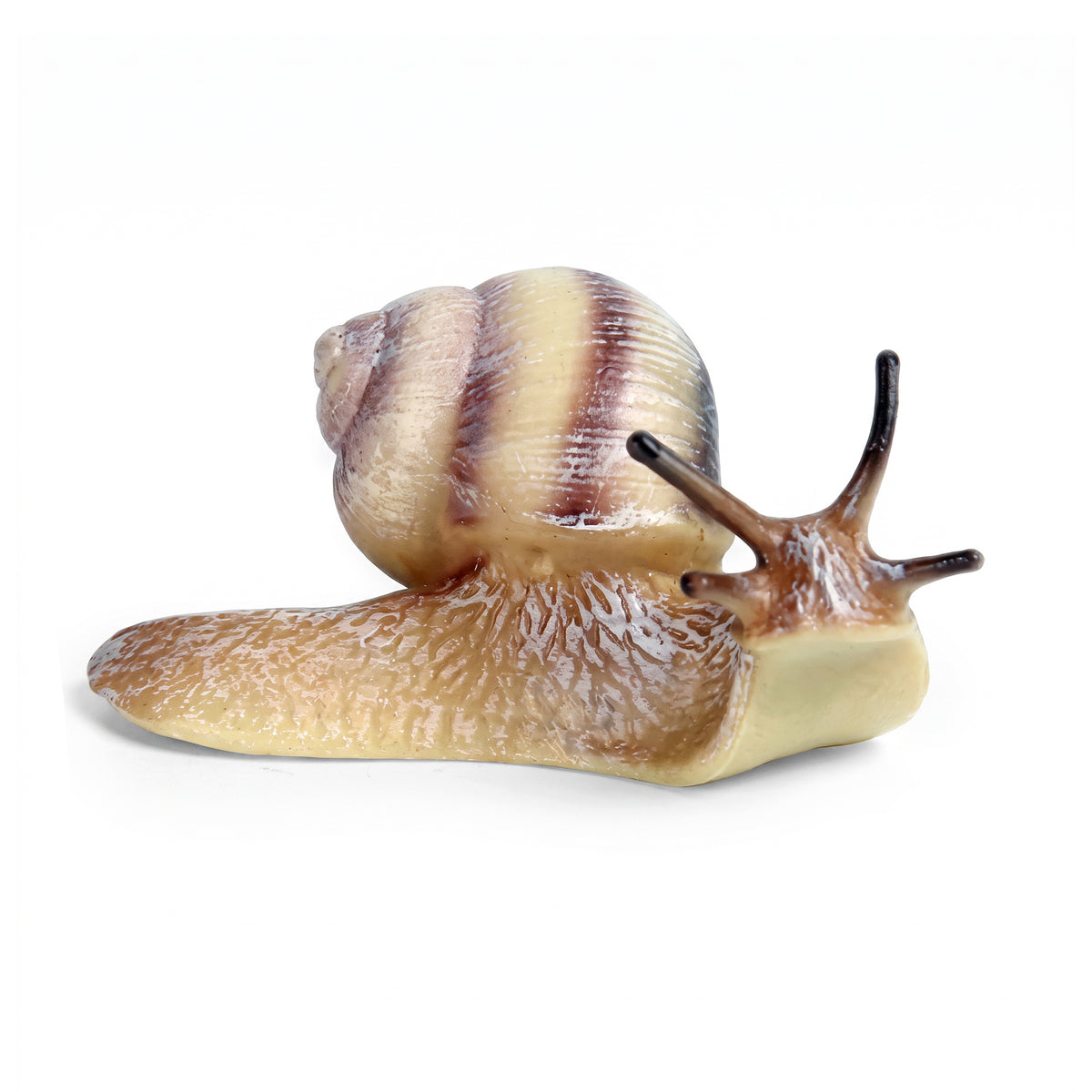 Snail figure 8 cm