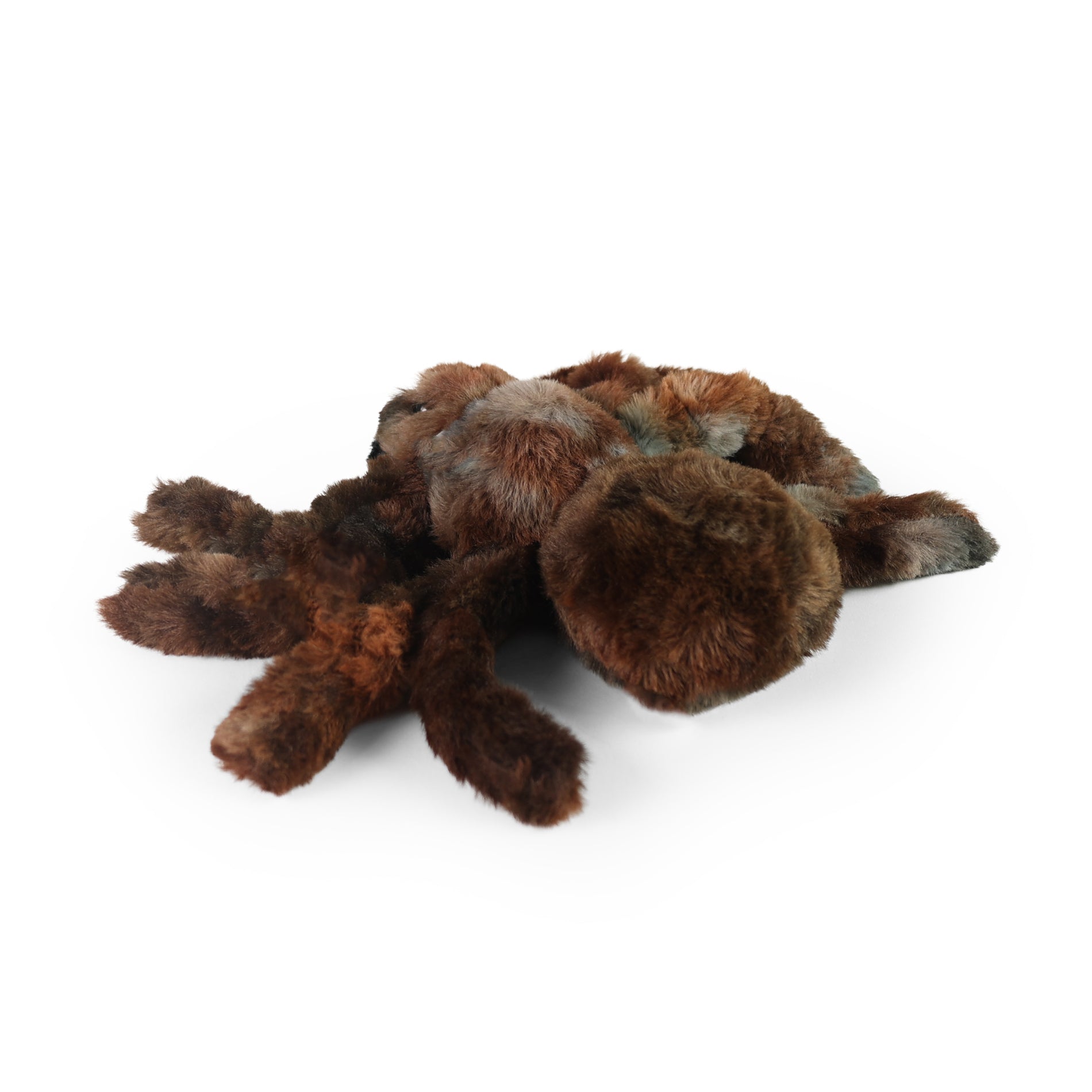 Plush spider 20 cm