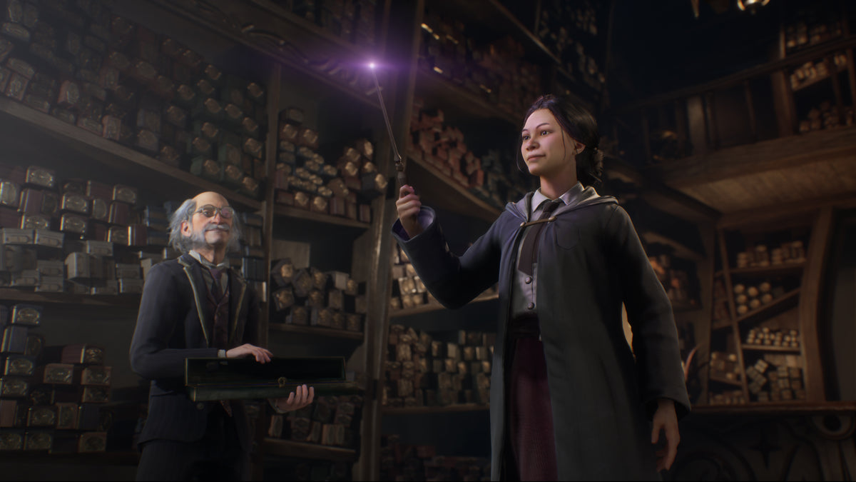 Hogwarts Legacy (PS4)