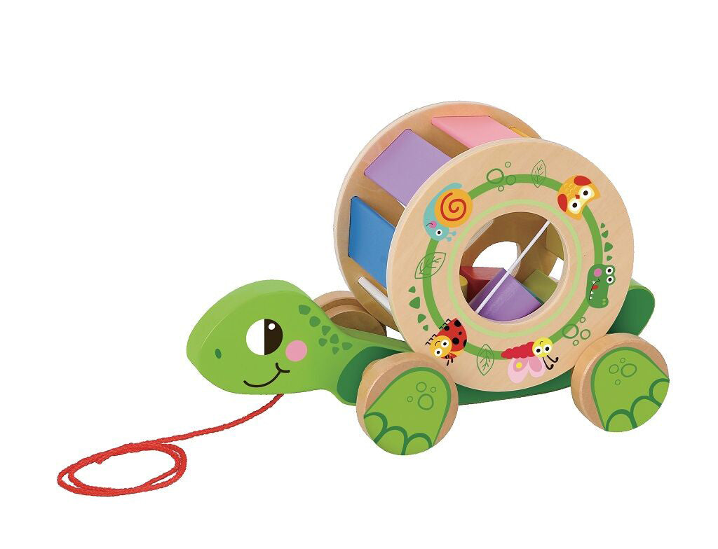 Pull-along turtle shape sorter