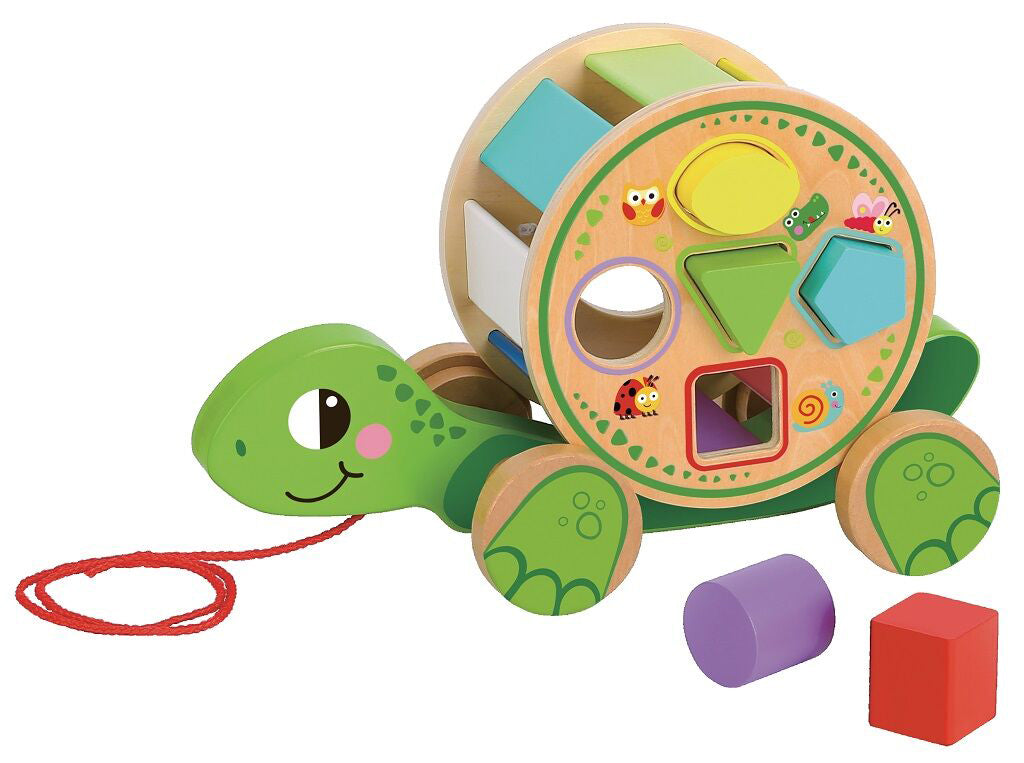 Pull-along turtle shape sorter