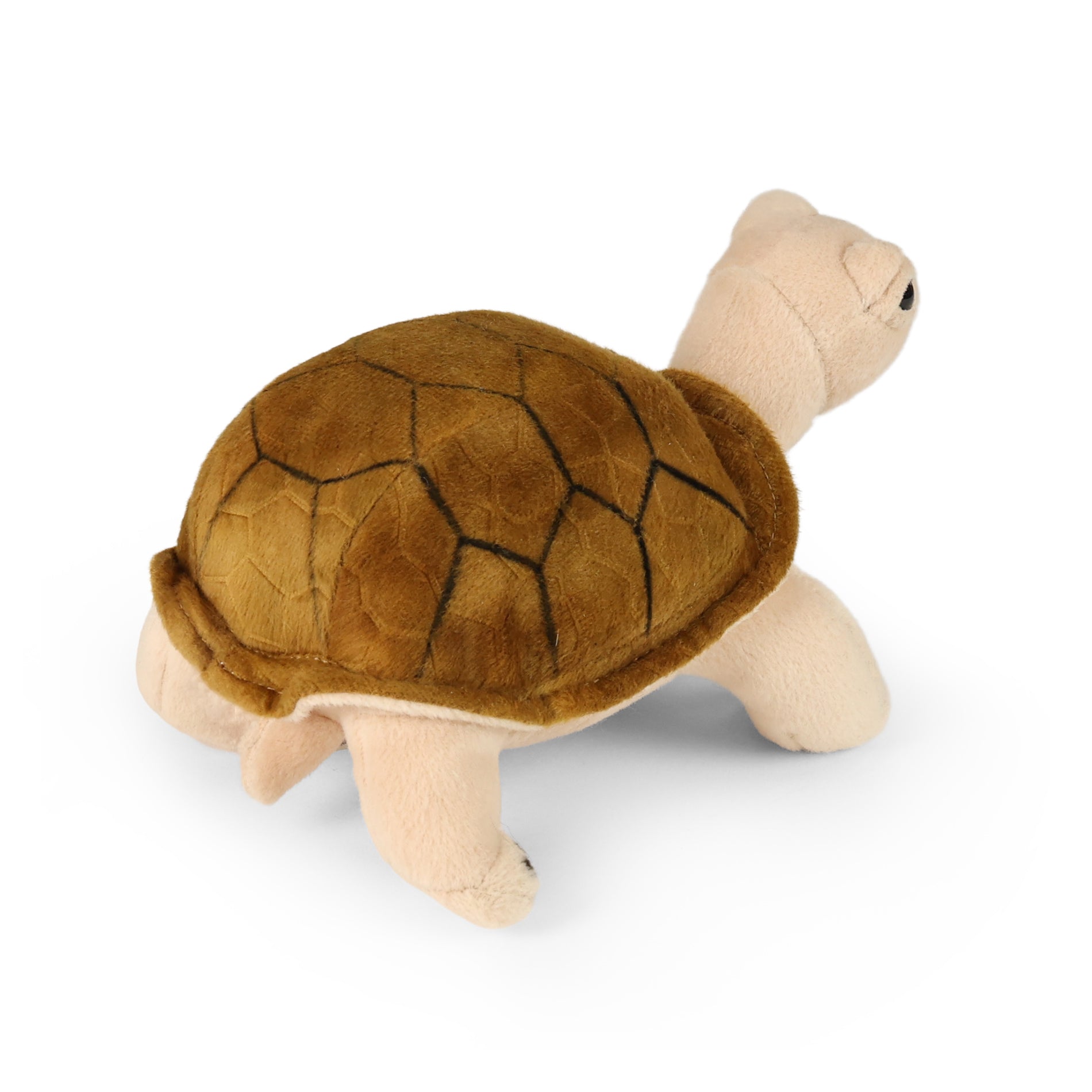 Plush turtle Agáta 25 cm, eco-friendly