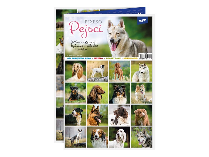 Dogs memory game 3x A4 / Pexeso