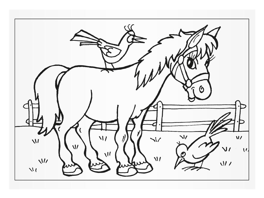 MFP Animals 2 A5 colouring book, 16 pages