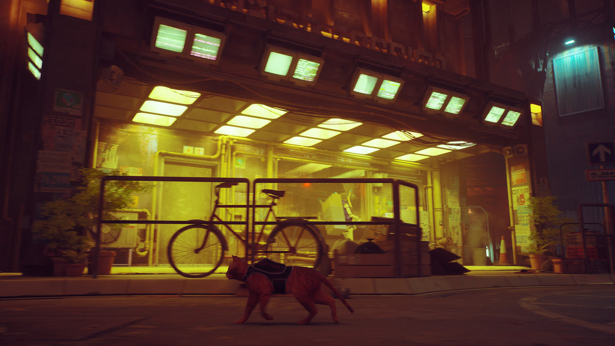 Stray (Xbox One / Series X)