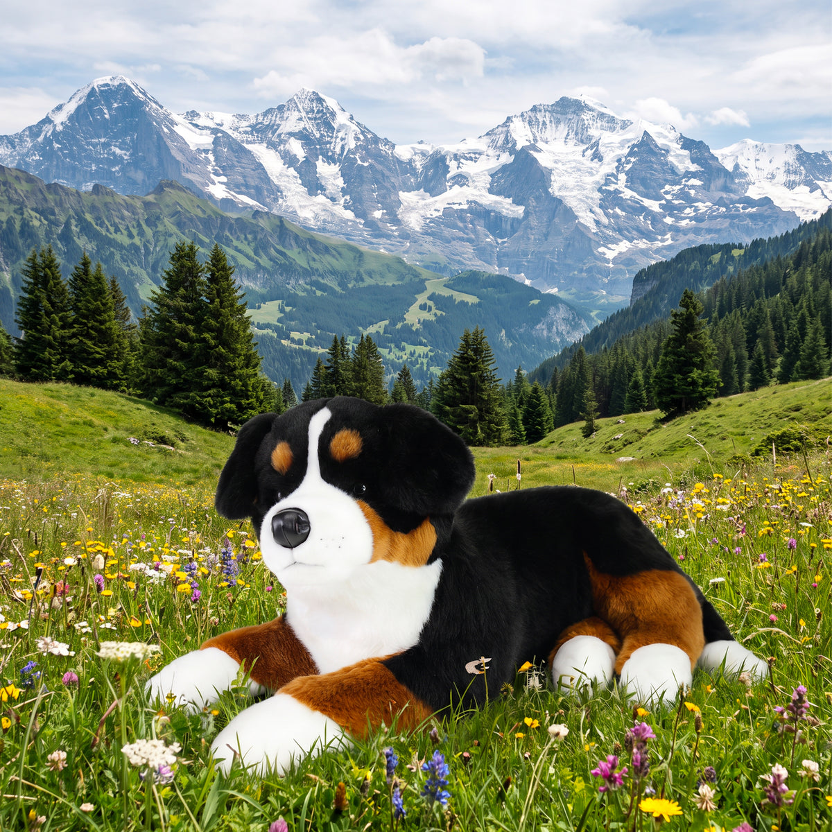 Large plush Bernese Mountain Dog 89 cm