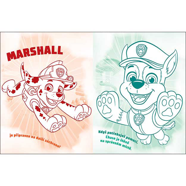 Paw Patrol Colouring Book with 100 Tattoos