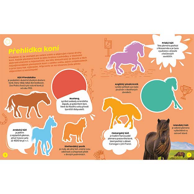 Educational Horse Sticker Book