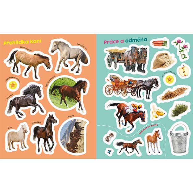 Educational Horse Sticker Book