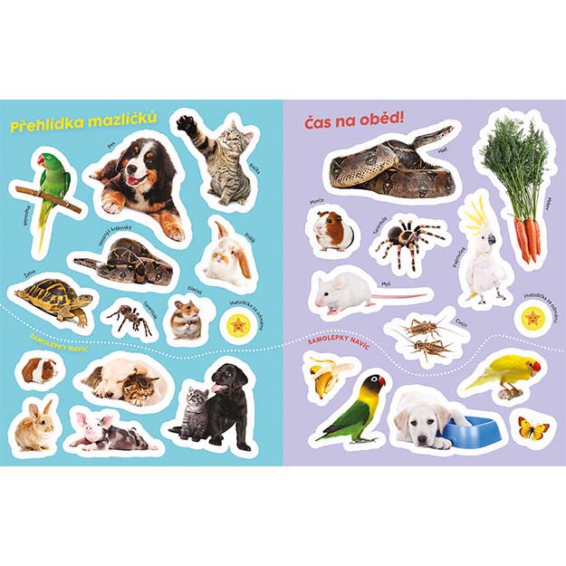Pets Educational Sticker Book