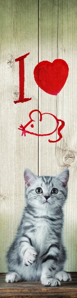 Záložka 3D - I love mice