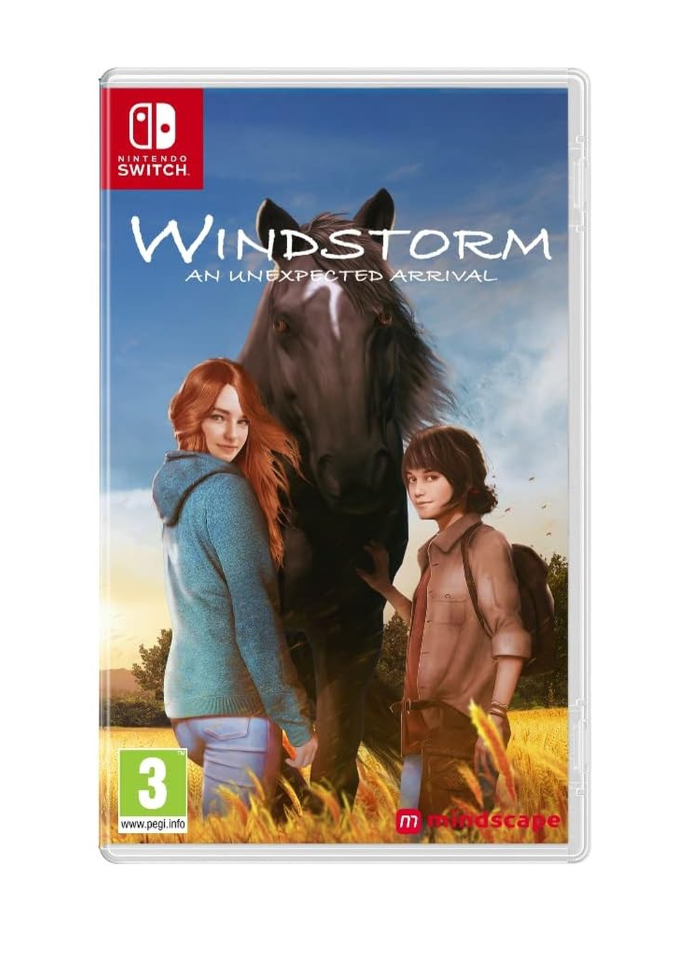 Windstorm: An Unexpected Arrival (Nintendo Switch)