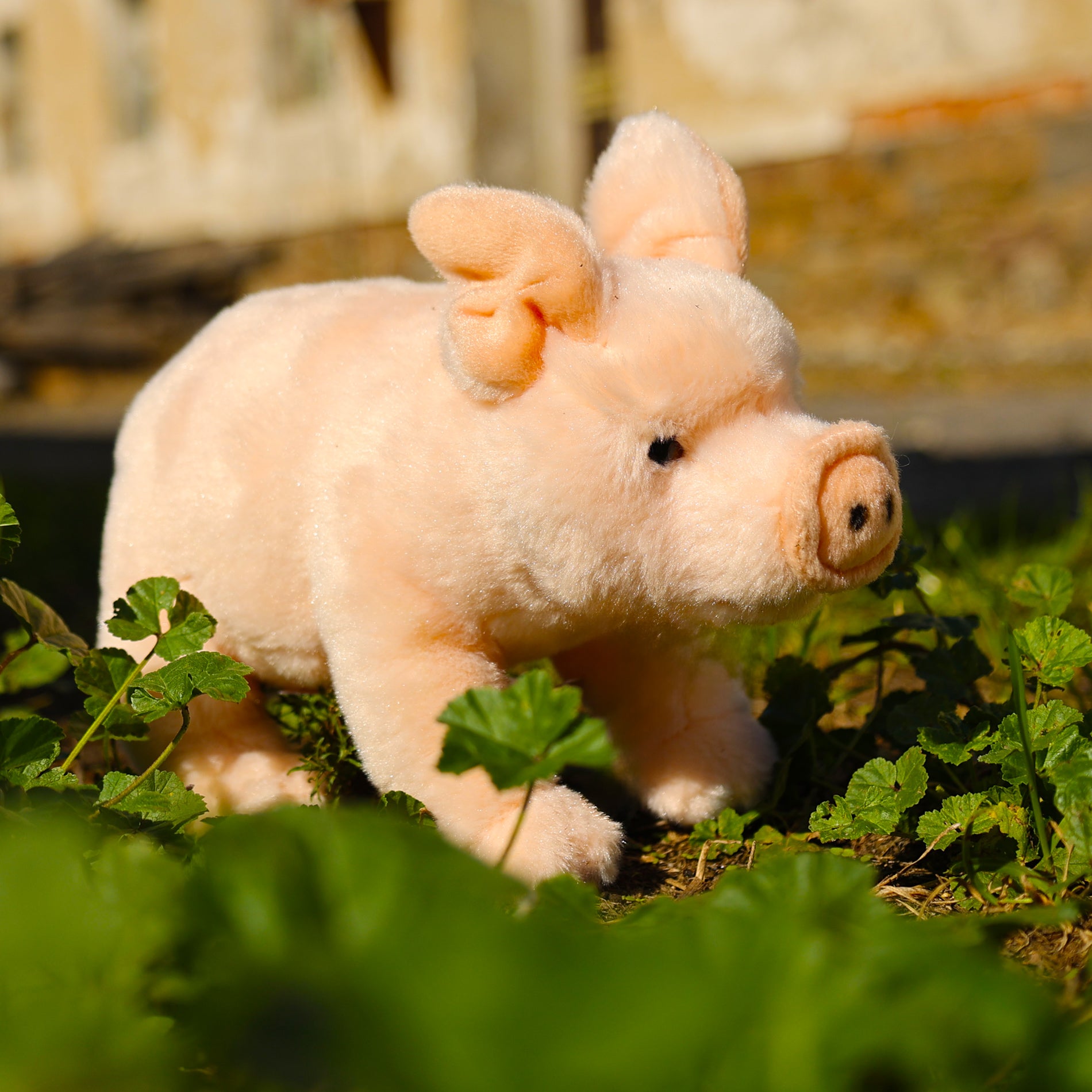 Plush domestic pig 20 cm