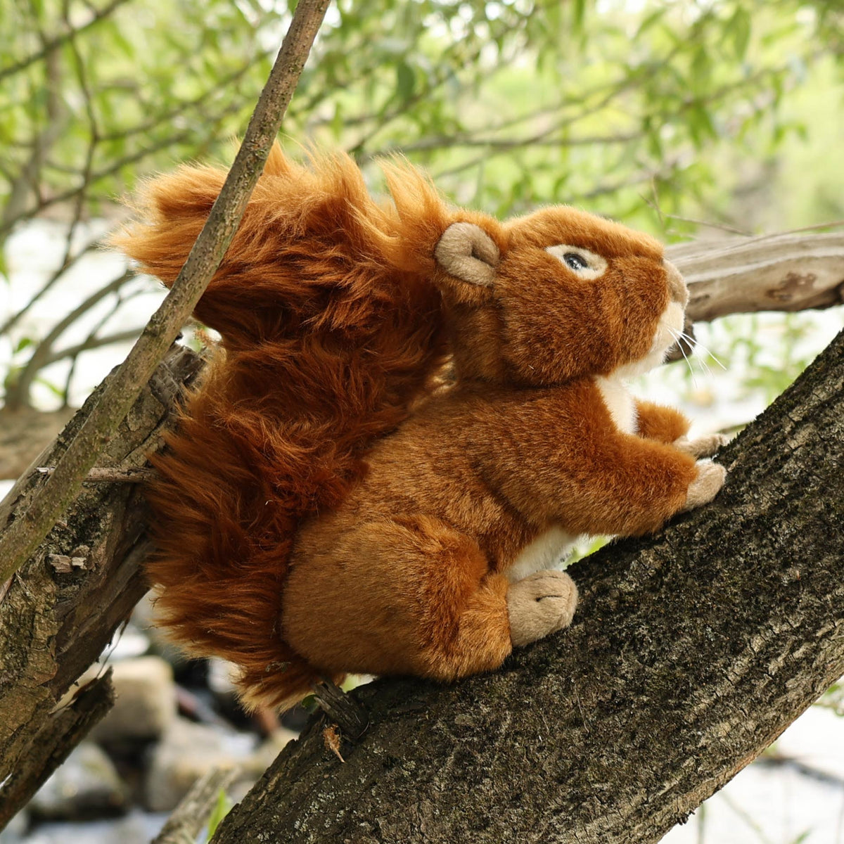 Plush squirrel 17 cm