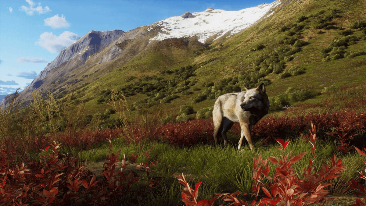 Way of the Hunter – Wild Expeditions Edition (PS5) – Czech Subtitles