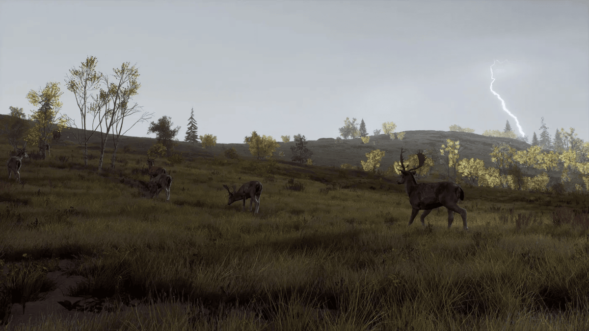 Way of the Hunter – Wild Expeditions Edition (PS5) – Czech Subtitles