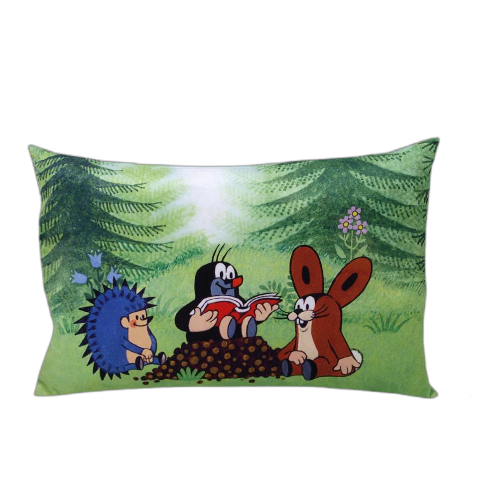 Little Mole pillow 45×30 cm, readers