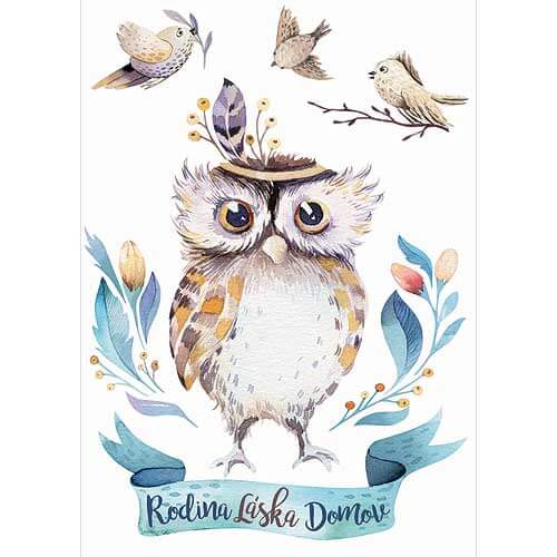 Owl Wall Sticker for Children A2