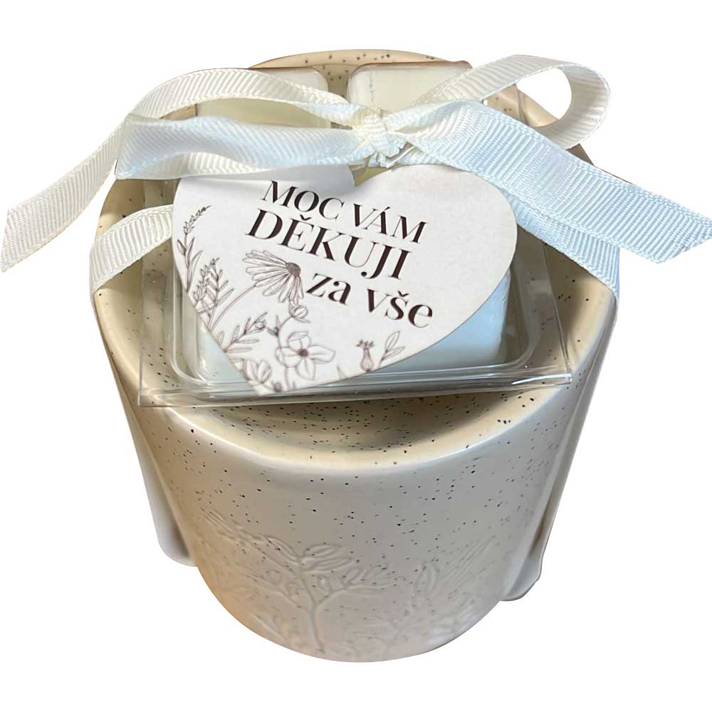 Aroma Lamp with Scented Waxes – Thank You for Everything