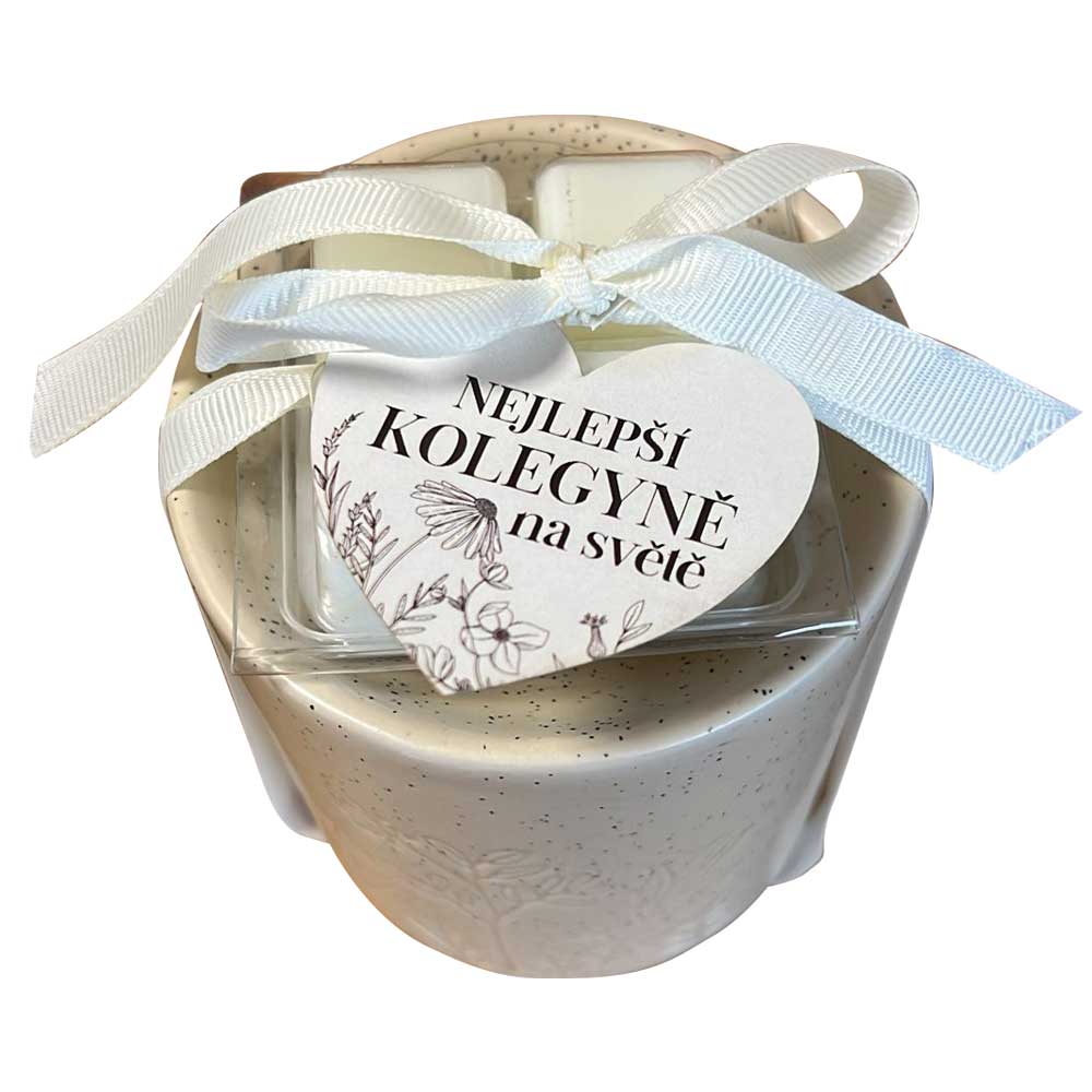 Aroma Lamp with Scented Waxes for a Colleague