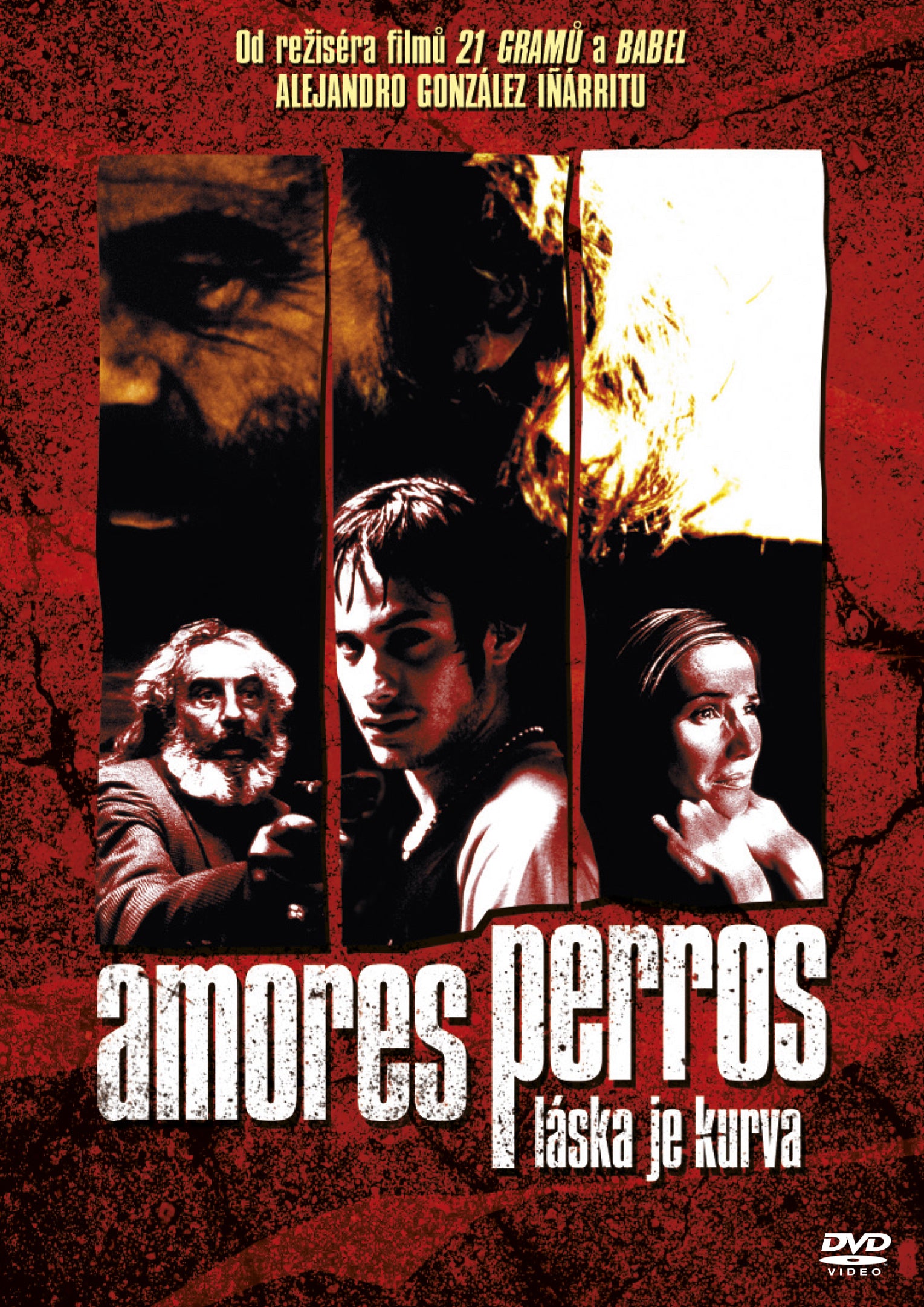 Amores perros / Amores perros - Laska je kurva DVD