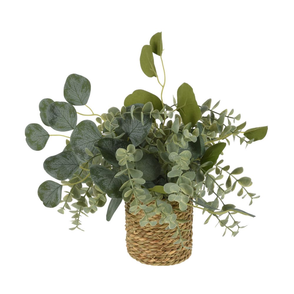 Artificial Eucalyptus in a Wicker Planter