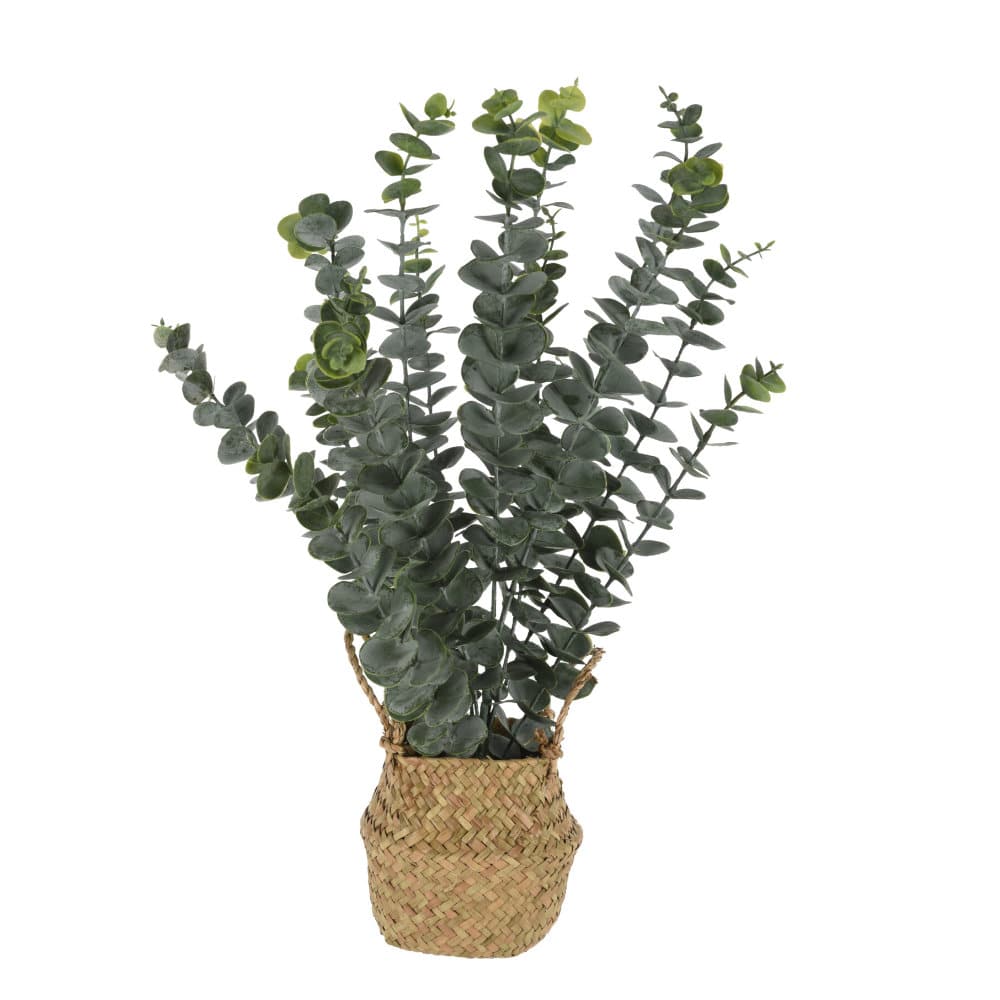 Artificial Eucalyptus in a Wicker Basket