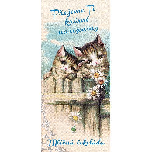 Birthday Milk Chocolate with Kittens
