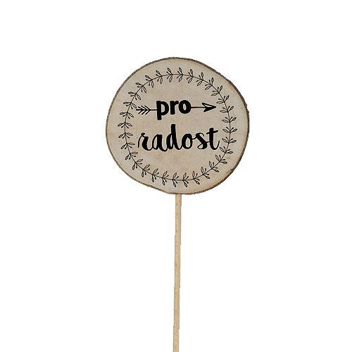 Wooden Plant Pick and Decoration – For Joy