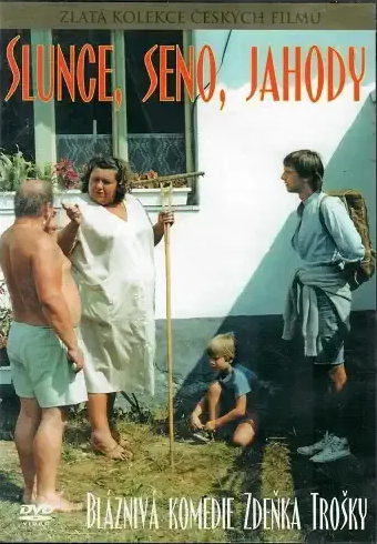 Sun, Hay, Strawberries / Slunce, seno, jahody DVD