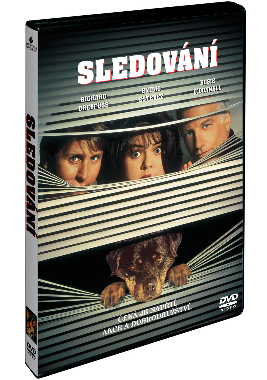 Sledovani DVD / Another Stakeout