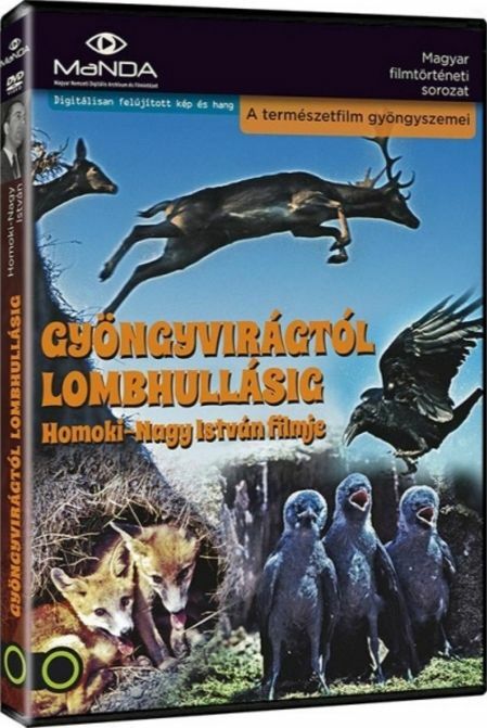 Von der Blütezeit bis zum Herbstfrost / Gyongyviragtol lombhullasig DVD
