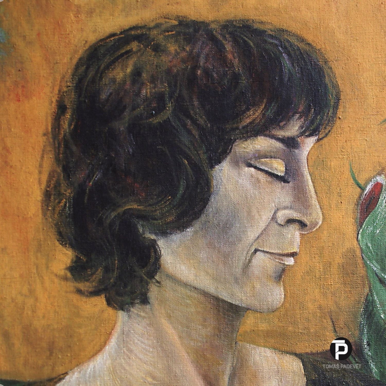 Hana Hegerova : Omrvinky CD