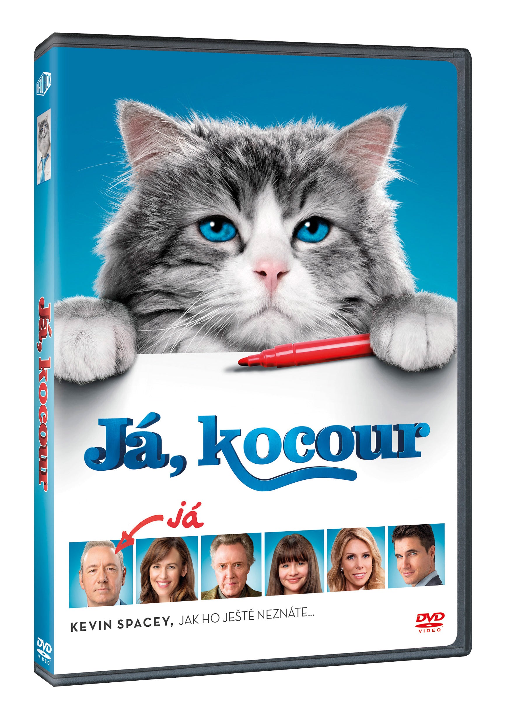 Ja, kocour DVD / Nine Lives