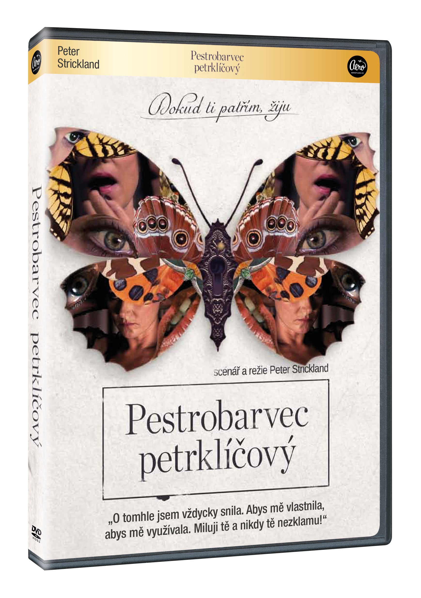 Pestrobarvec petrklicovy DVD / Der Herzog von Burgund