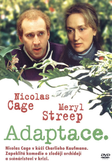 Adaptace DVD / Adaptace