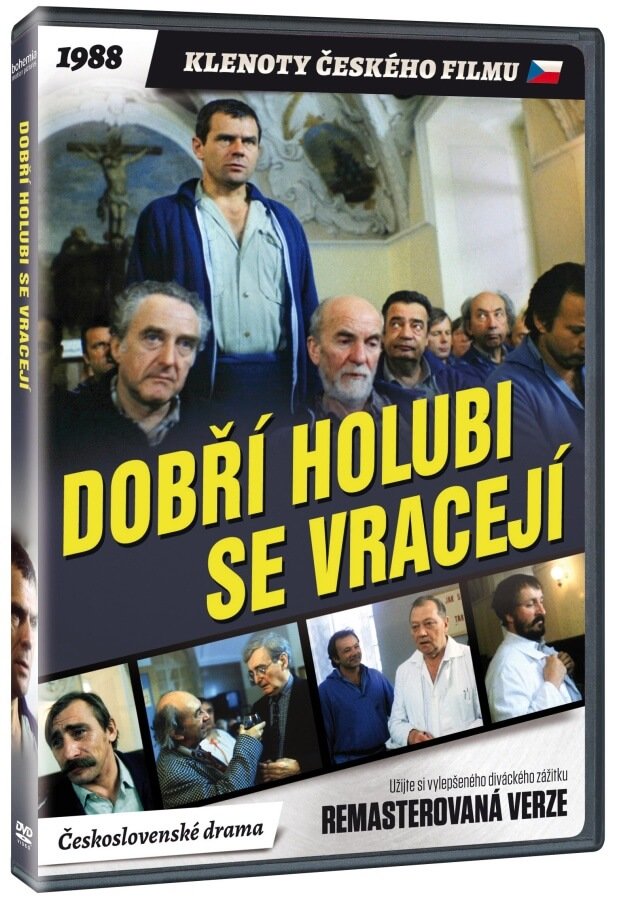 Dobri holubi se vraceji DVD