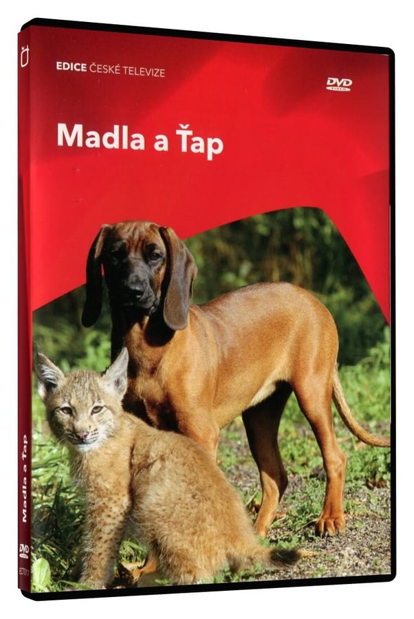 Madla a Tap DVD