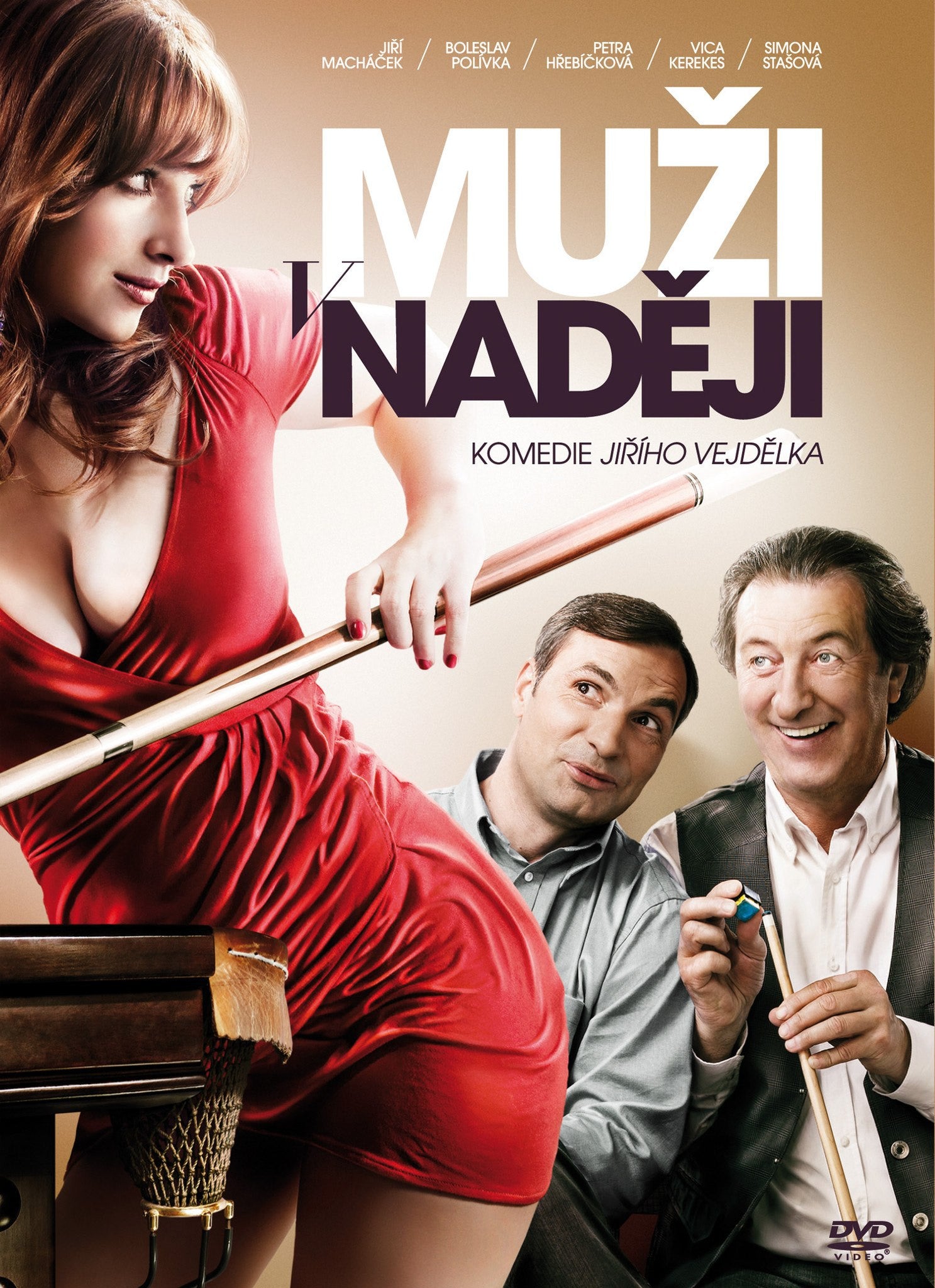 What men want 2. / Po cem muzi touzi 2. DVD
