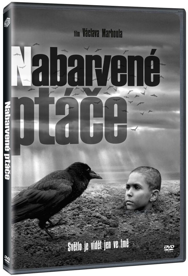 Der bemalte Vogel / Nabarvene ptace