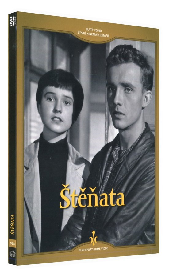 Jungtiere/ Stenata