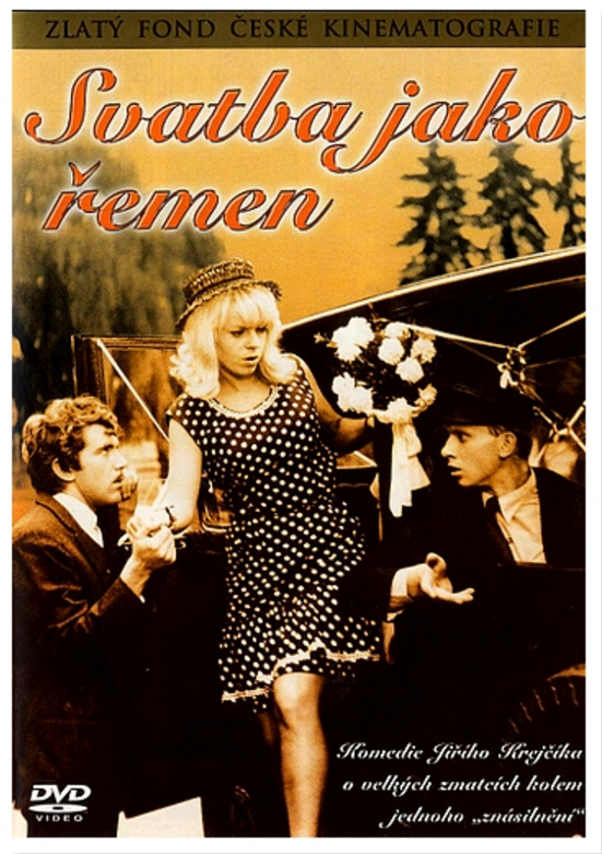 Hochzeit unter Aufsicht / Svatba jako remen DVD