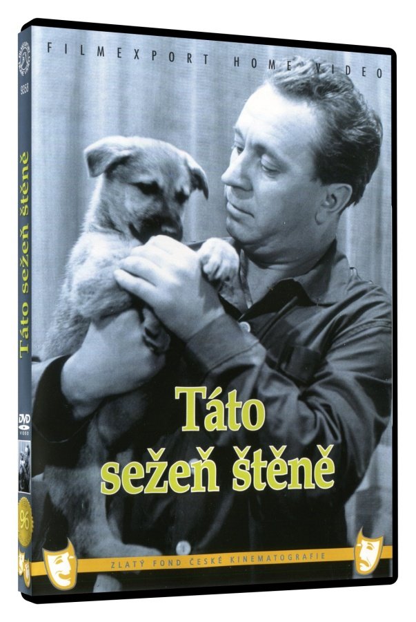 Daddy, Buy Me a Puppy / Tato, sezen stene! DVD